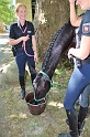 Polizeidirektion   114